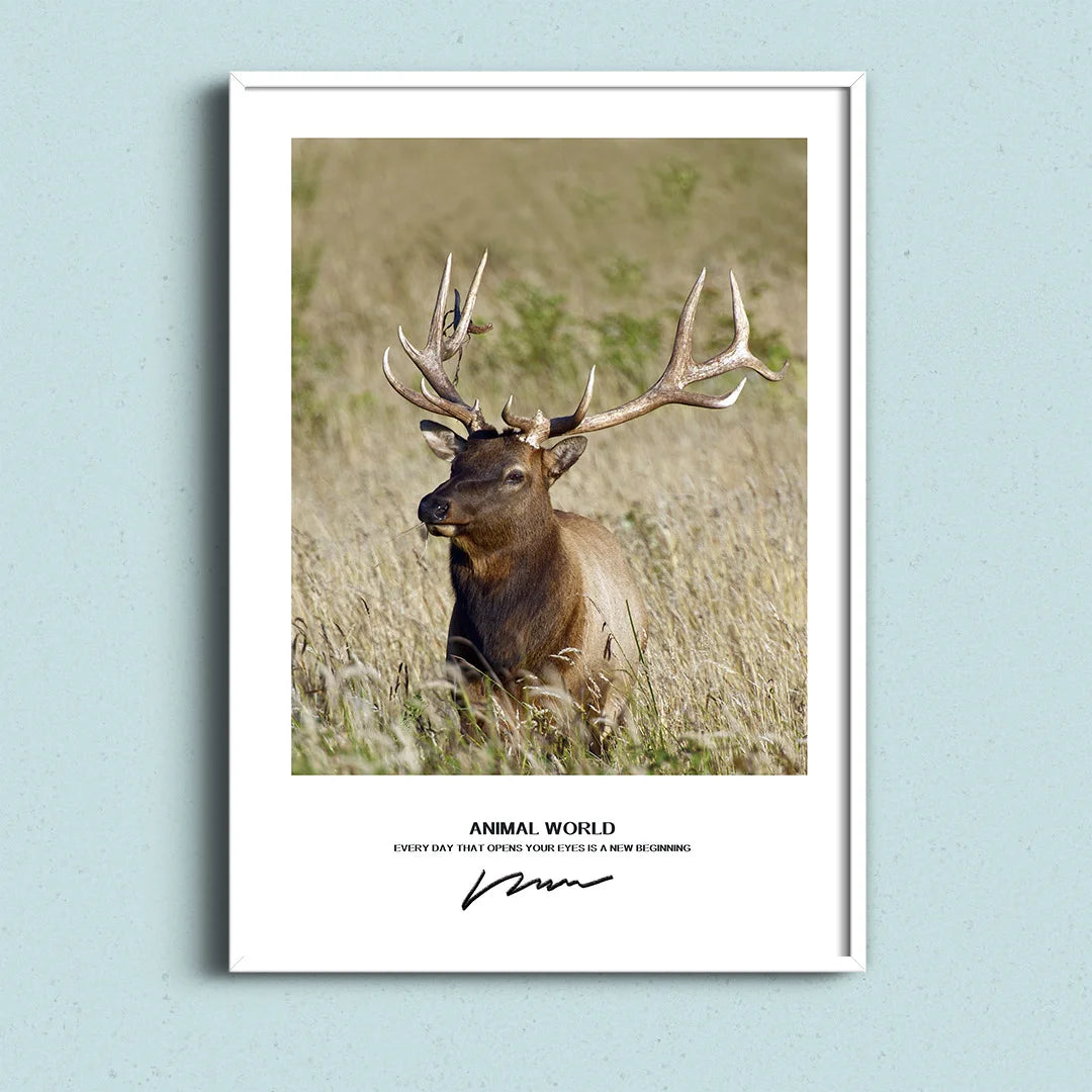 Wild Majesty