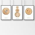 Nordic Tree Ring Deer Art – Set of 3 Nature-Inspired