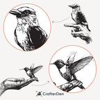 Minimalist Bird Sketch Collection – Set of 6 Nature Line Art
