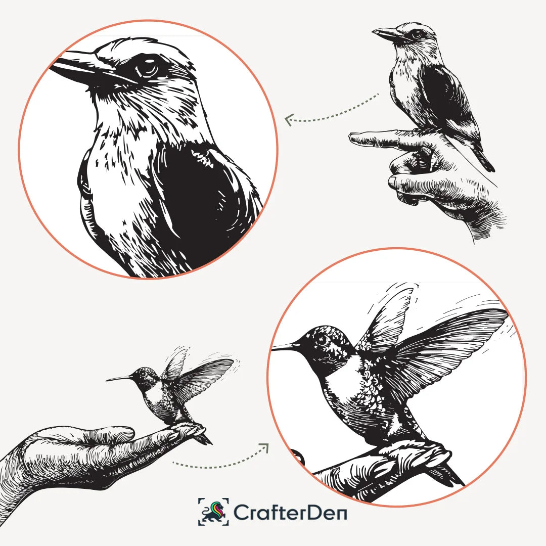 Minimalist Bird Sketch Collection – Set of 6 Nature Line Art