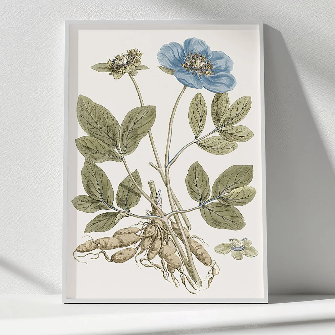 Blue Bloom Botanical Study