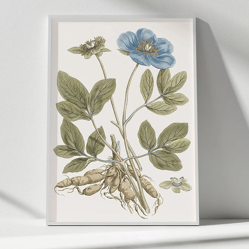 Blue Bloom Botanical Study