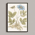 Blue Bloom Botanical Study
