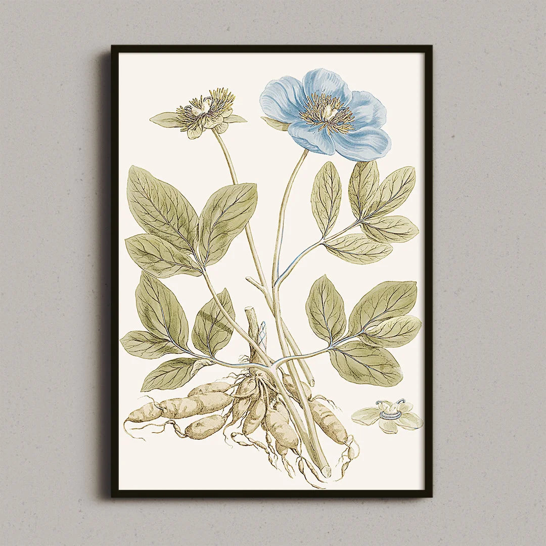Blue Bloom Botanical Study