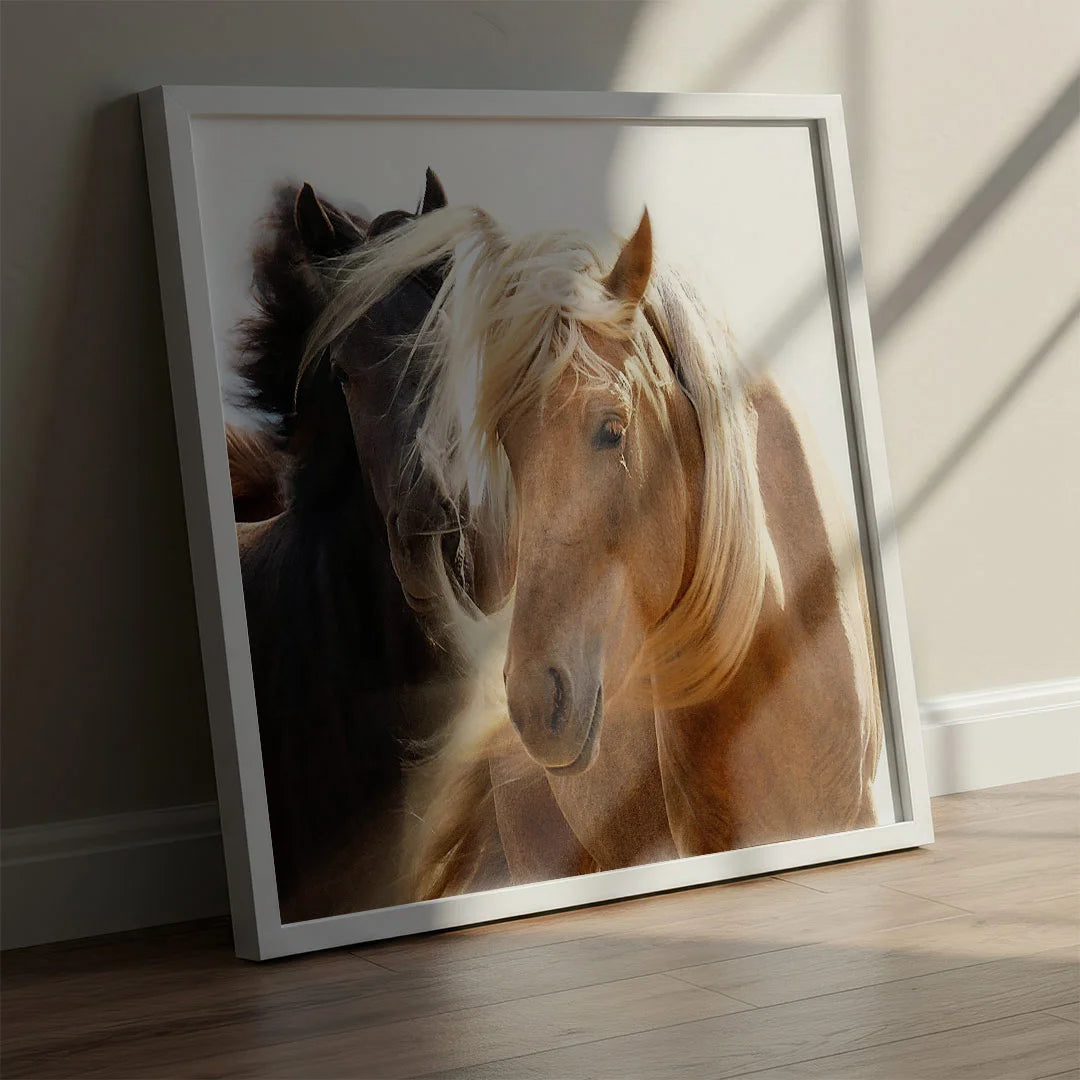 Horses in Harmony