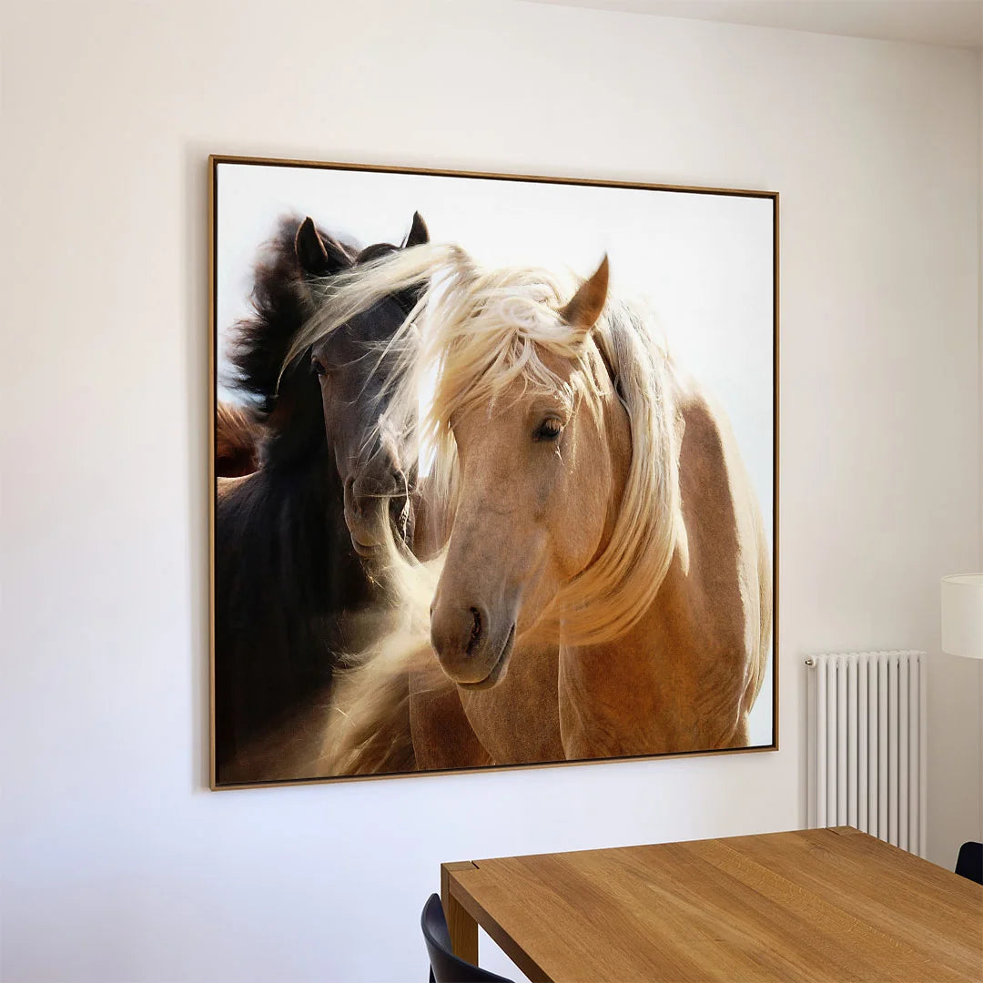 Horses in Harmony