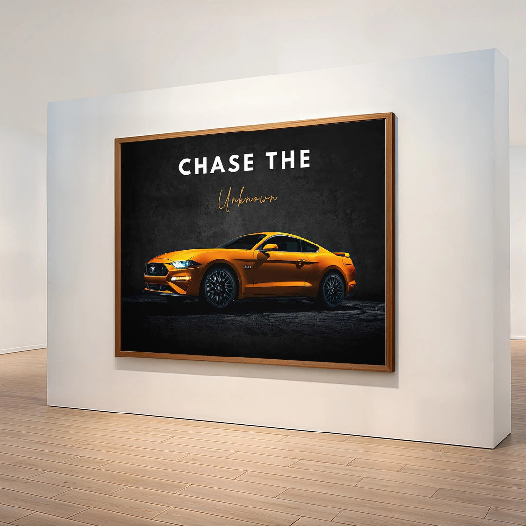 Chase the Unknown
