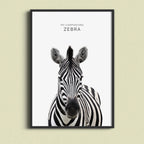 Bold Zebra – Minimal Wildlife Wall Art