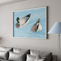 Peaceful Ducks on Water