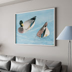 Peaceful Ducks on Water
