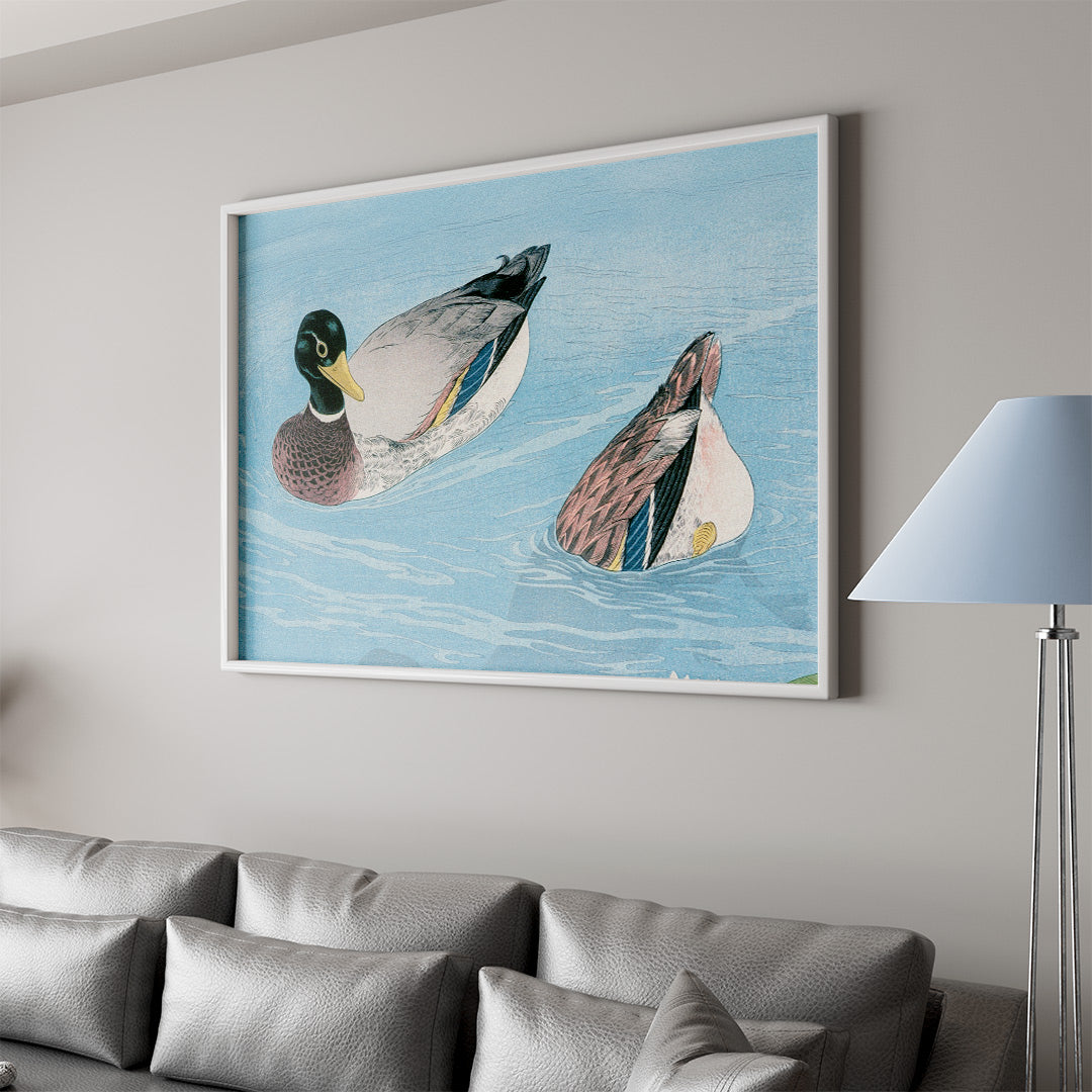 Peaceful Ducks on Water