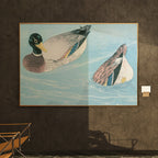 Peaceful Ducks on Water