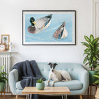 Peaceful Ducks on Water
