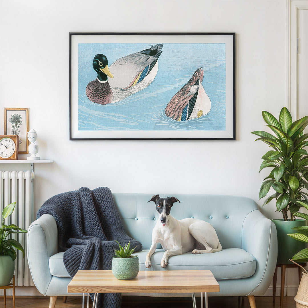 Peaceful Ducks on Water