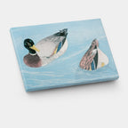 Peaceful Ducks on Water