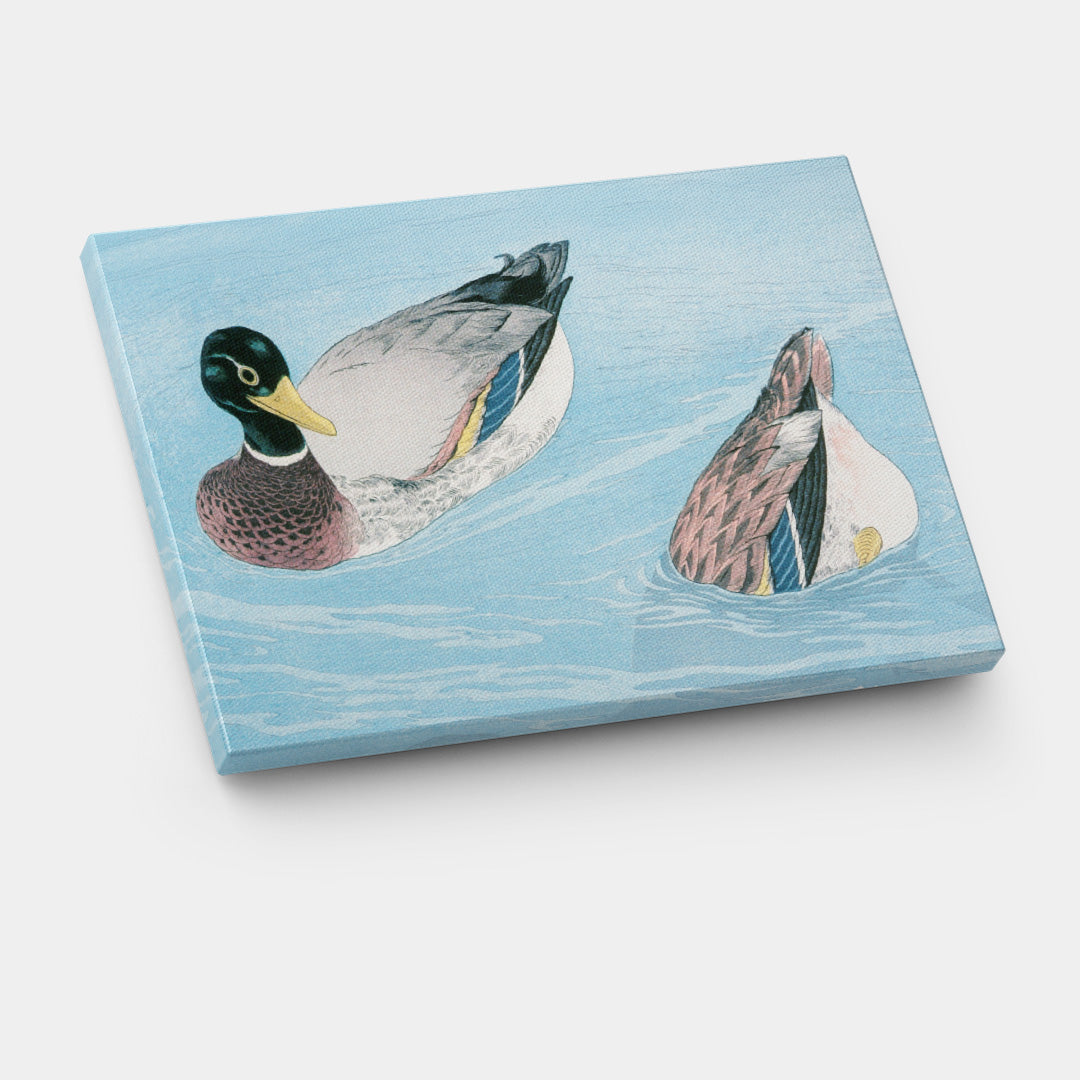 Peaceful Ducks on Water