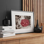 Crimson Bloom by Asim Pal
