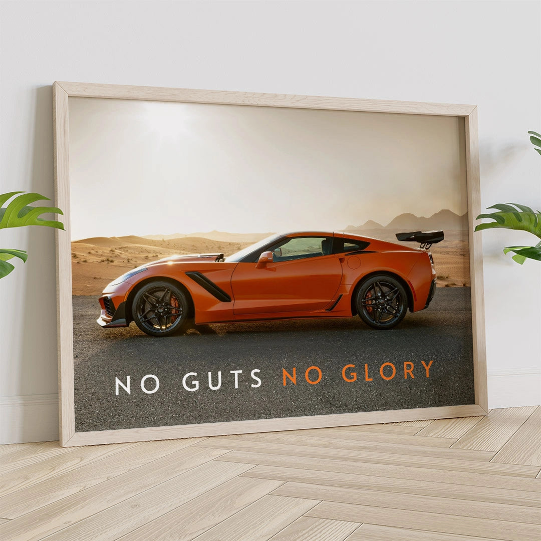 No Guts No Glory