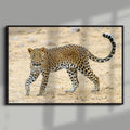Leopard in Motion