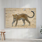 Leopard in Motion
