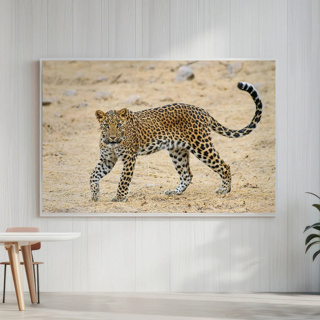 Leopard in Motion