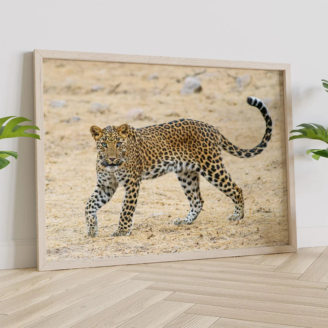 Leopard in Motion