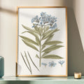 Blue Blossom Botanical Study