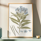 Blue Blossom Botanical Study