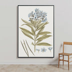 Blue Blossom Botanical Study