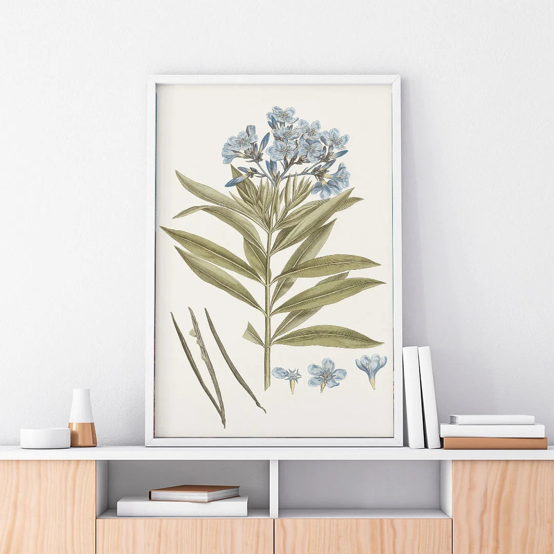 Blue Blossom Botanical Study