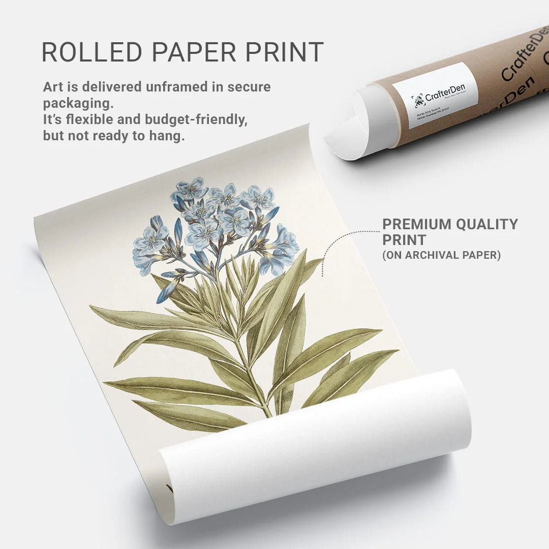 Blue Blossom Botanical Study