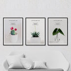 Live Your Best Life – Set of 3 Minimal Botanical Quote Prints