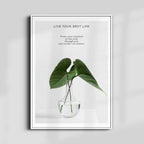 Live Your Best Life – Set of 3 Minimal Botanical Quote Prints