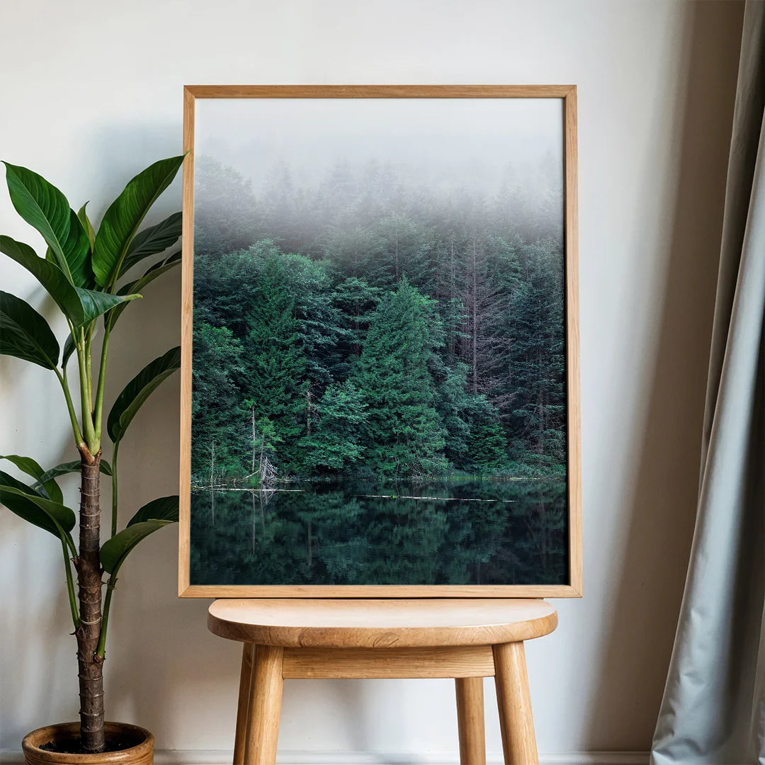 Misty Forest Reflections
