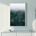 Misty Forest Reflections