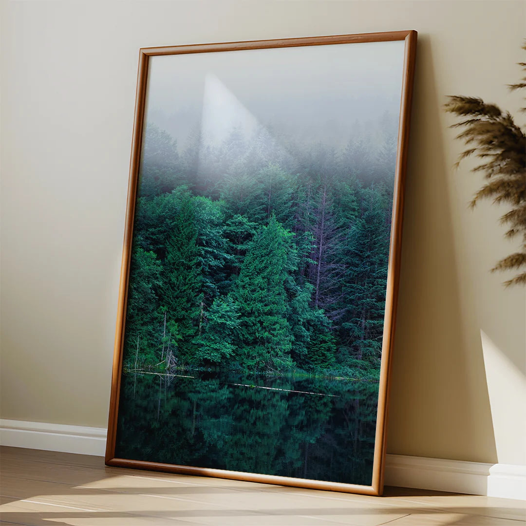 Misty Forest Reflections