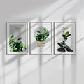 Nature Botanical Mood – Set of 3 Minimal Green Wall Art Prints