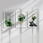 Nature Botanical Mood – Set of 3 Minimal Green Wall Art Prints