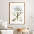 Blue Lily Botanical Study