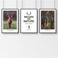 Return to Nature – Set of 3 Wildlife & Forest Wall Art Prints