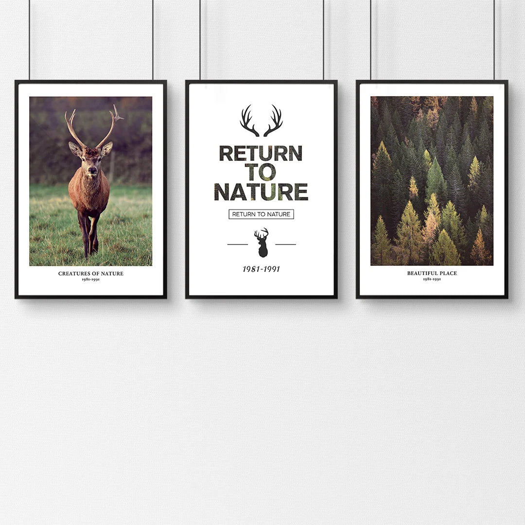 Return to Nature – Set of 3 Wildlife & Forest Wall Art Prints