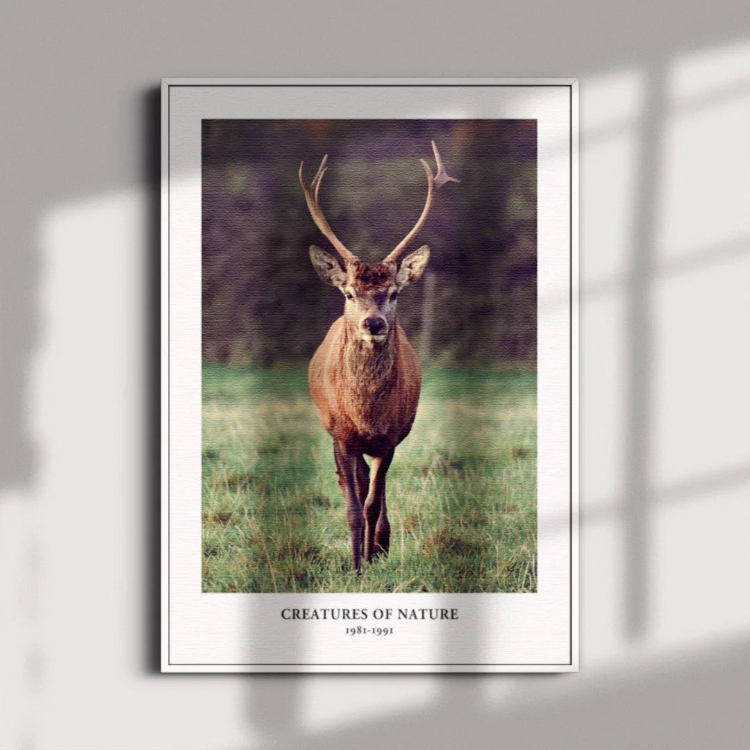 Return to Nature – Set of 3 Wildlife & Forest Wall Art Prints