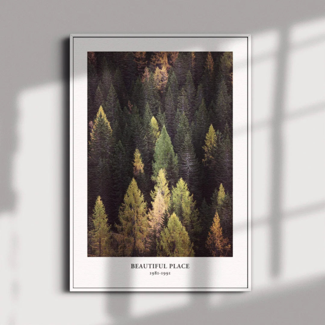Return to Nature – Set of 3 Wildlife & Forest Wall Art Prints