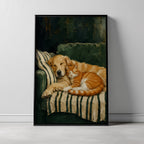 Companions in Comfort