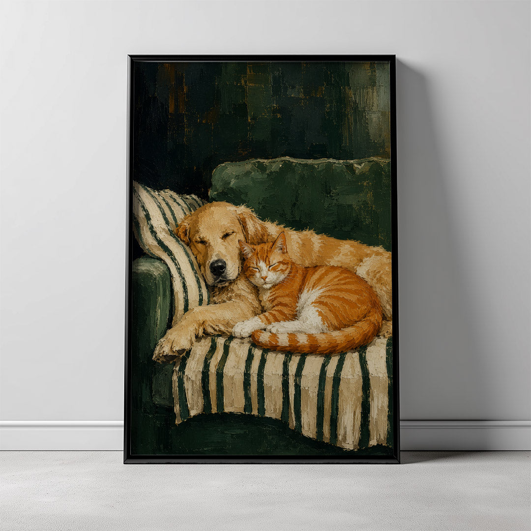 Companions in Comfort