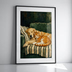 Companions in Comfort