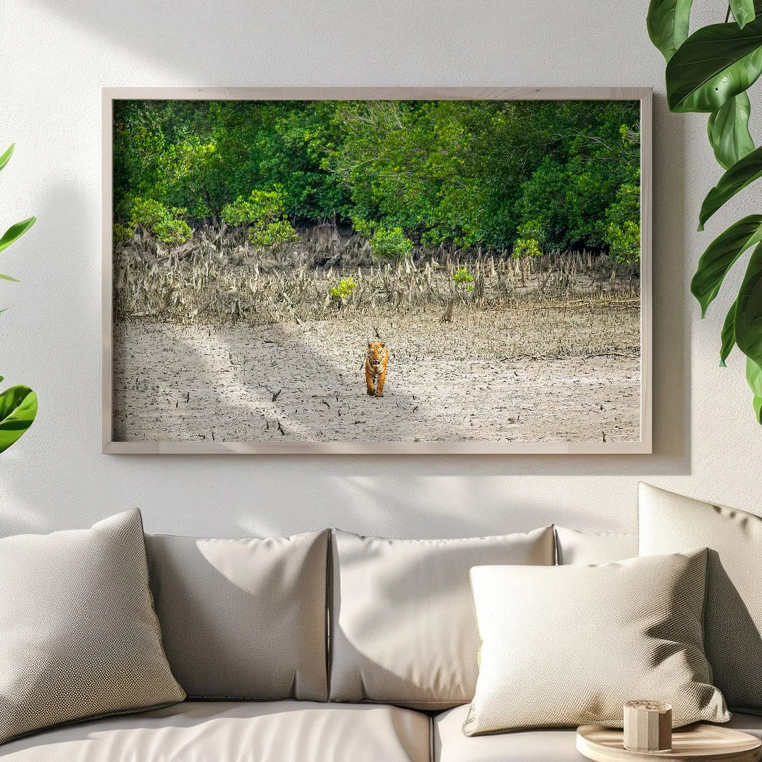 Tiger in the Mangroves