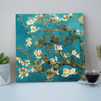 Almond Blossom Study