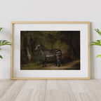 Zebra in a Woodland Landscape – by George Stubbs