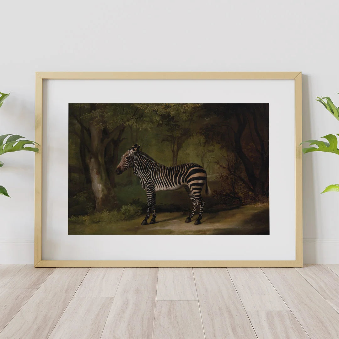 Zebra in a Woodland Landscape – by George Stubbs